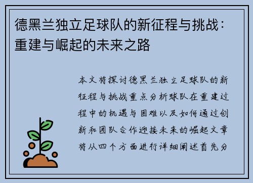 德黑兰独立足球队的新征程与挑战：重建与崛起的未来之路