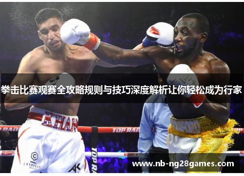 拳击比赛观赛全攻略规则与技巧深度解析让你轻松成为行家